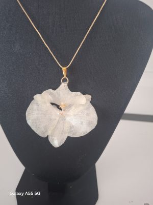 Orquídeas  branca